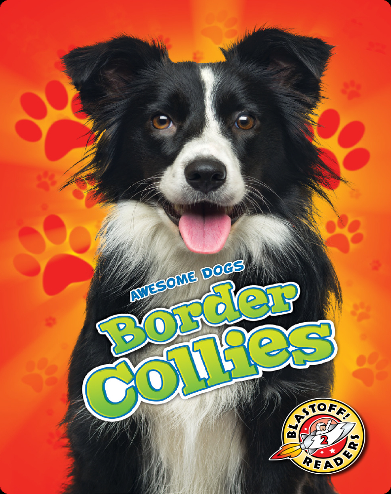 Awesome Dogs Border Collies Book by Rebecca Sabelko Epic