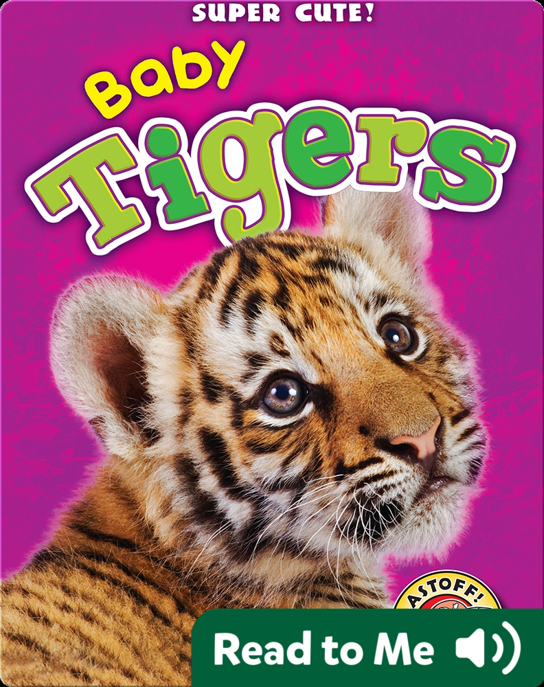 Super Cute! Baby Tigers Book by Christina Leaf