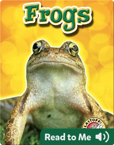 Frogs: Backyard Wildlife