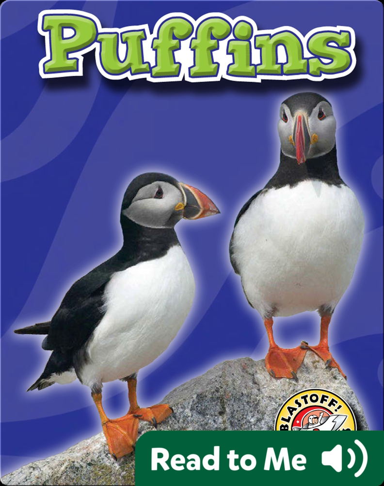 Know Your Puffins  Smithsonian Ocean