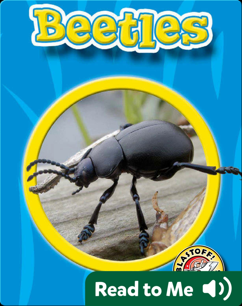 World of Insects: Beetles Book by Colleen Sexton