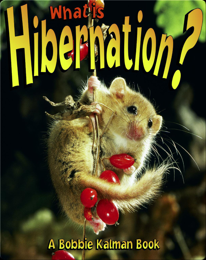 what-is-hibernation-book-by-bobbie-kalman-john-crossingham-epic