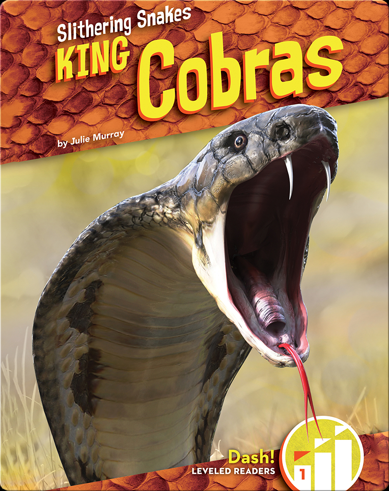 5 Facts About The King Cobra - Reptiles Magazine