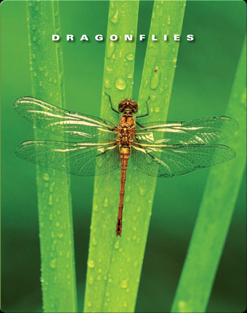 Dragonflies Book by Sophie Lockwood | Epic