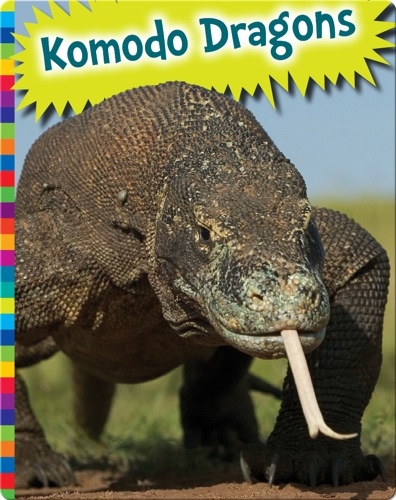 Komodo Dragons