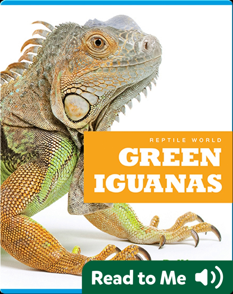 Reptile World: Green Iguanas Book by Cari Meister, Vanessa Black | Epic