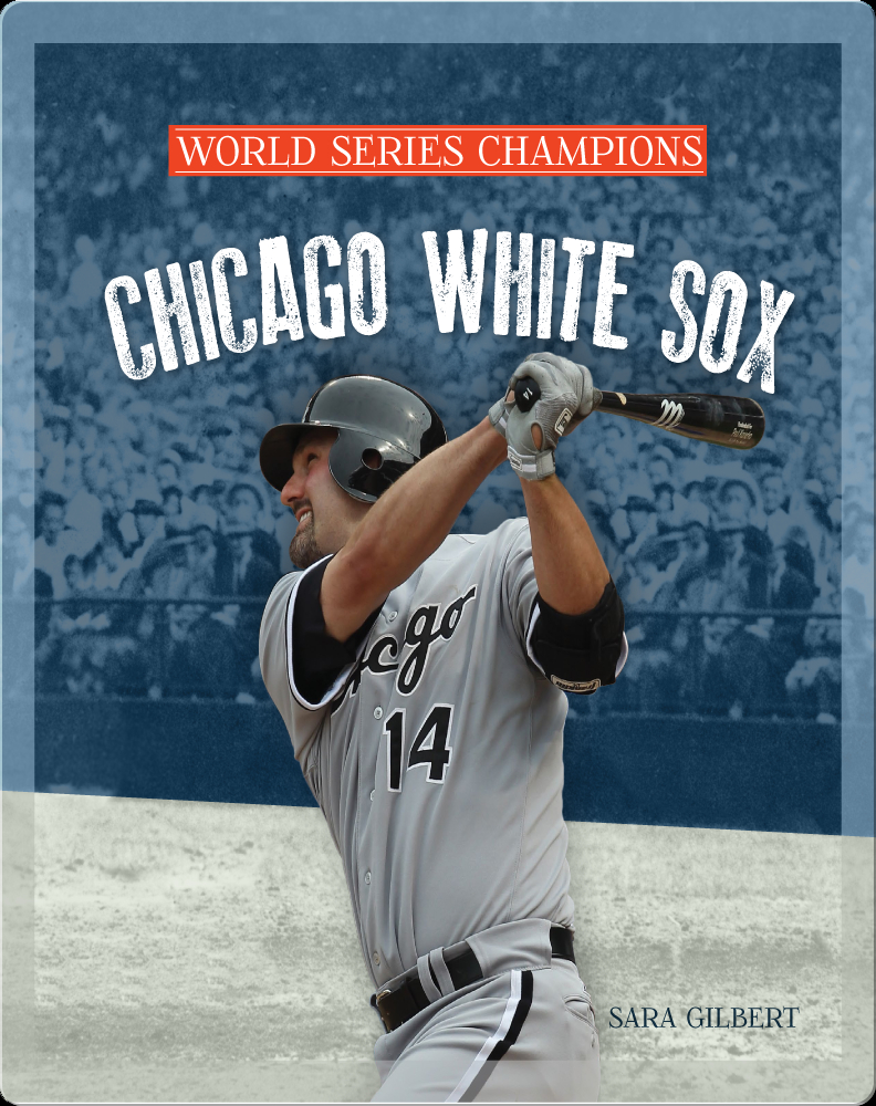 2005 White Sox World Series Champions Composite