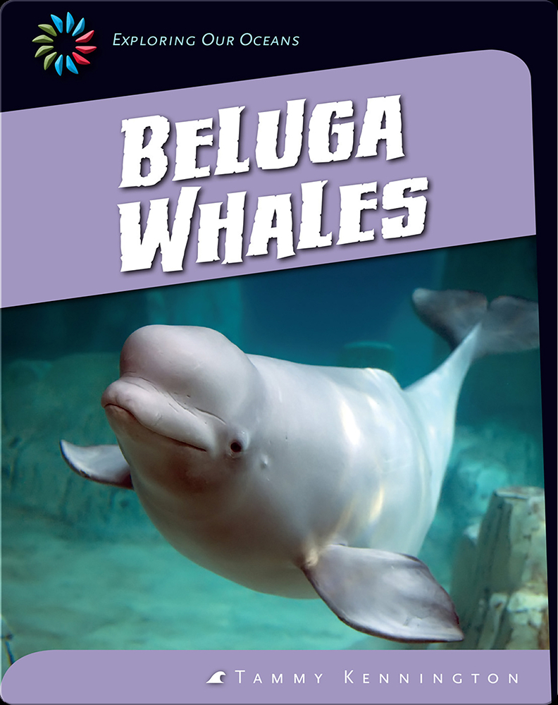 Beluga Whales Book By Tammy Kennington