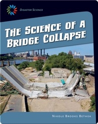 The Science of a Bridge Collapse