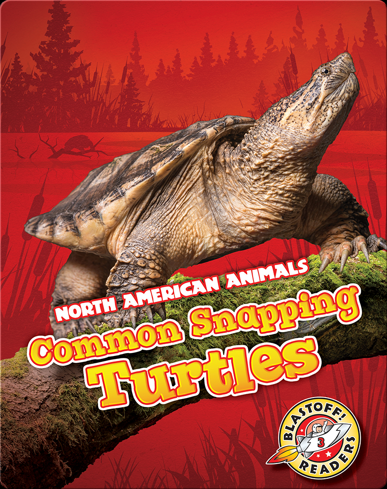 Common Snapping Turtles Book by Rebecca Sabelko Epic
