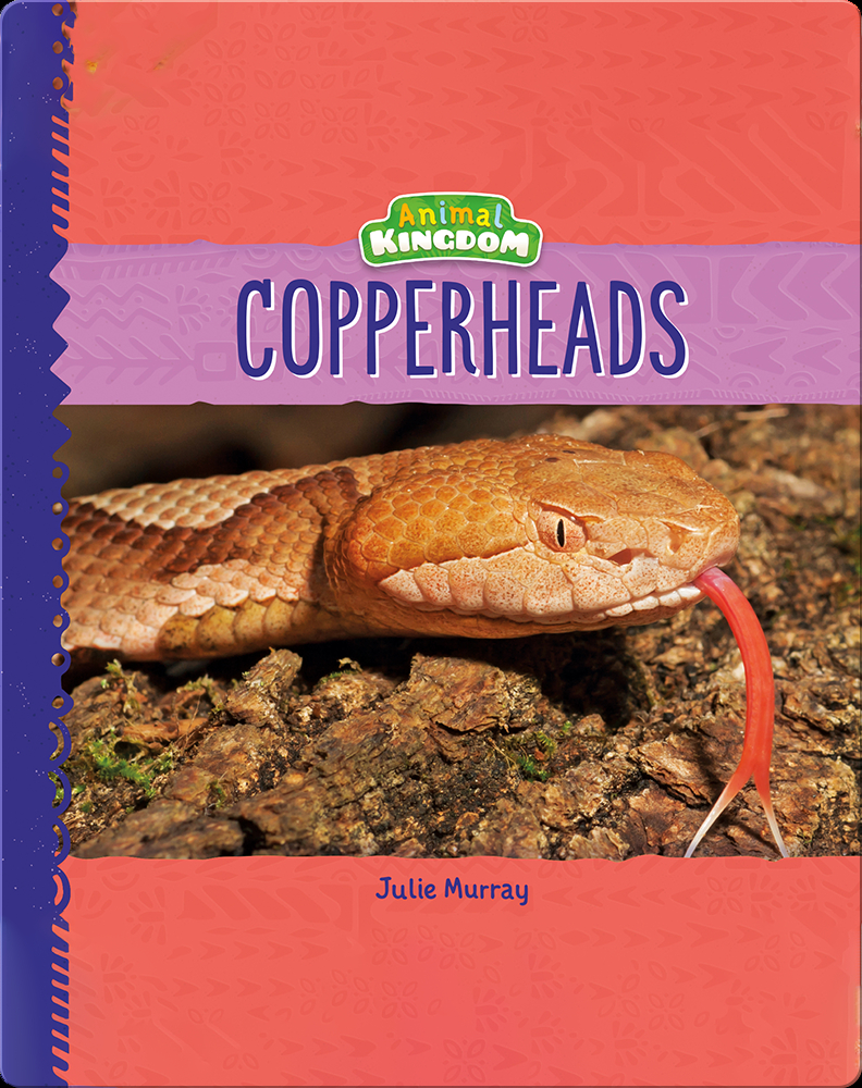 Animal Kingdom Copperheads Book by Julie Murray Epic