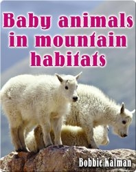 Baby Animals in Mountain Habitats