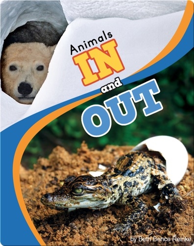 Animals In And Out