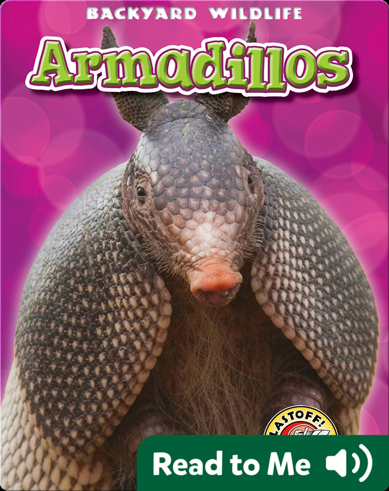 Backyard Wildlife Armadillos Book by Kari Schuetz Epic