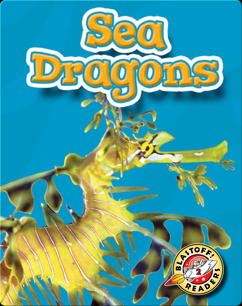 The official Aqua Dragons website