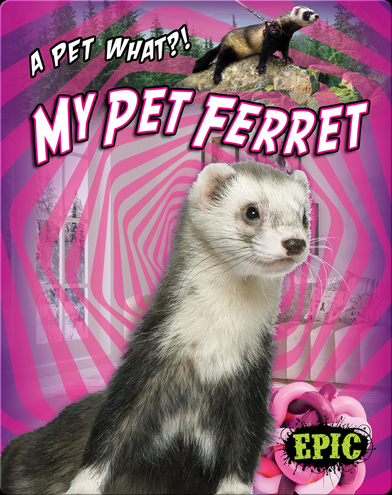 Superpowered Ferret Fighters — I made a mockup cover for a story I