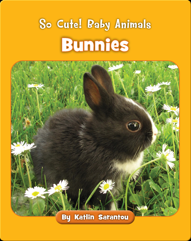 So Cute! Baby Animals Bunnies Book by Katlin Sarantou Epic