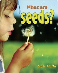 What Are Seeds?
