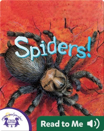 Spiders!