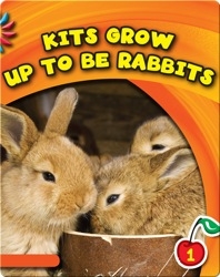 Kits Grow Up To Be Rabbits