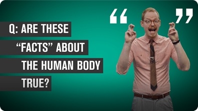 Five False ‘Facts’ About the Human Body