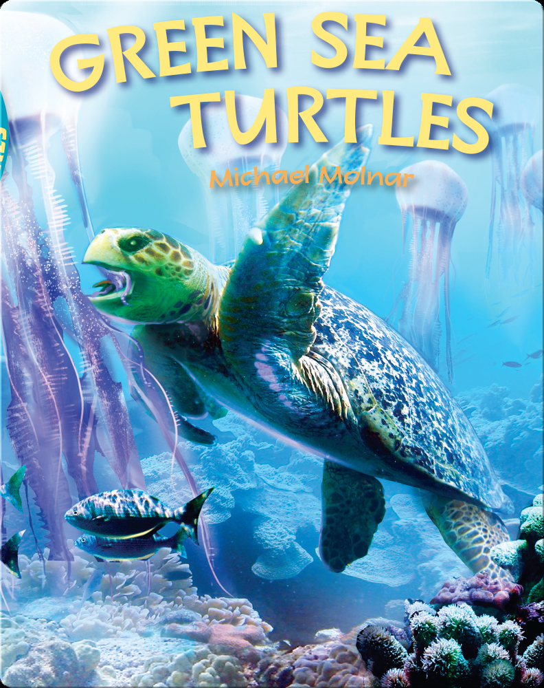 Green Sea Turtle - Bearport Publishing