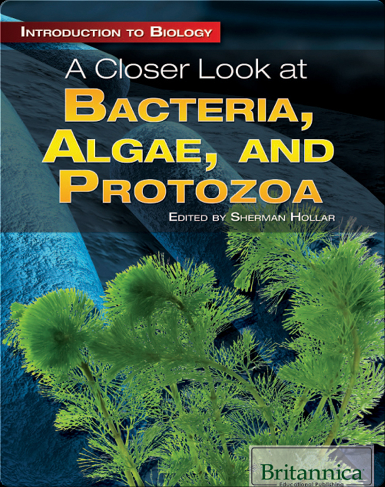 A Closer Look At Bacteria Algae And Protozoa Book By Sherman Hollar Epic 5025