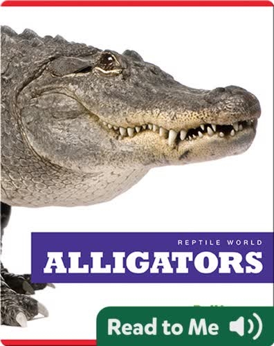 Reptile World: Alligators