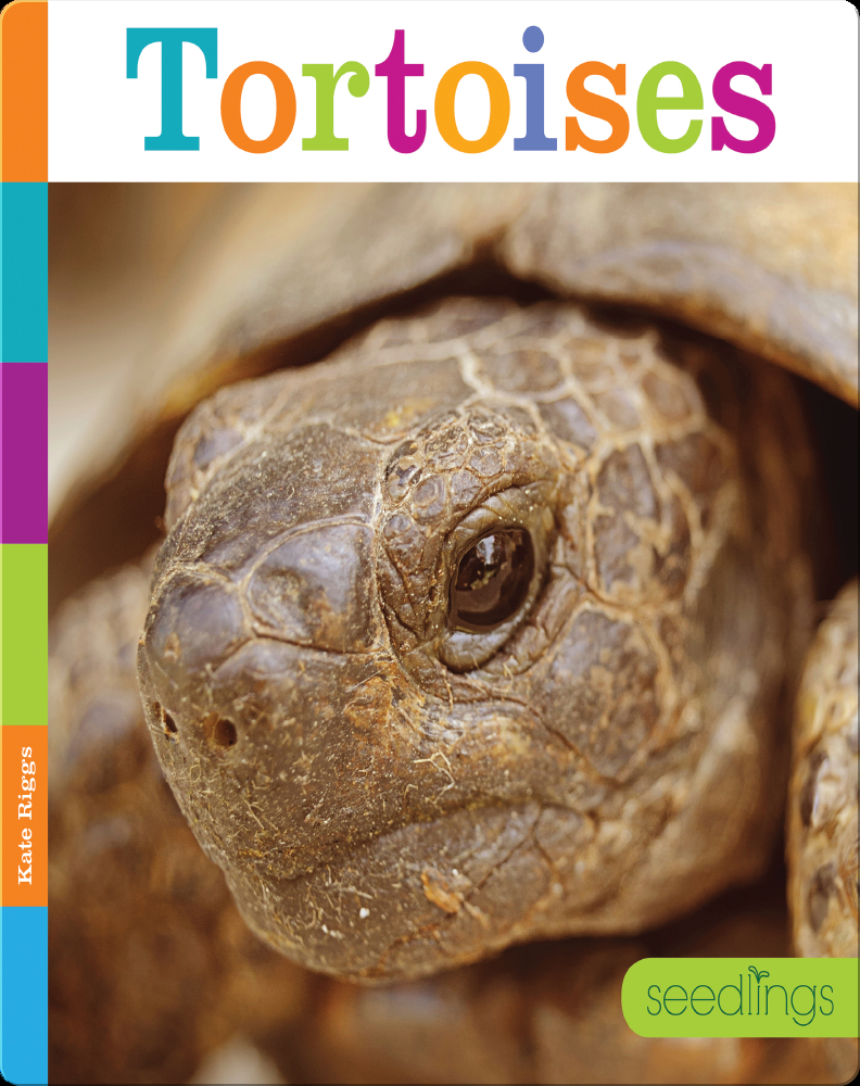 Tortoises Book by Kate Riggs, Quinn M. Arnold | Epic