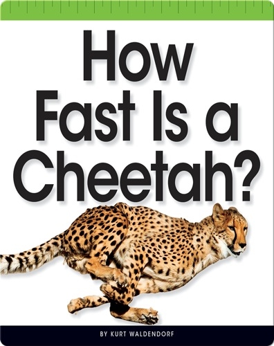 How Fast Is a Cheetah?