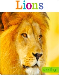 Lions