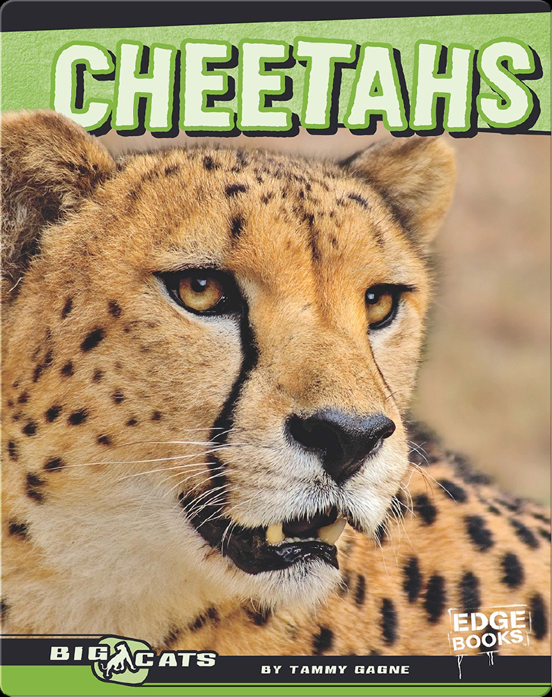 Cheetahs Book by Tammy Gagne | Epic