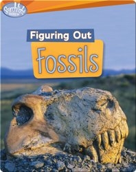 Figuring Out Fossils