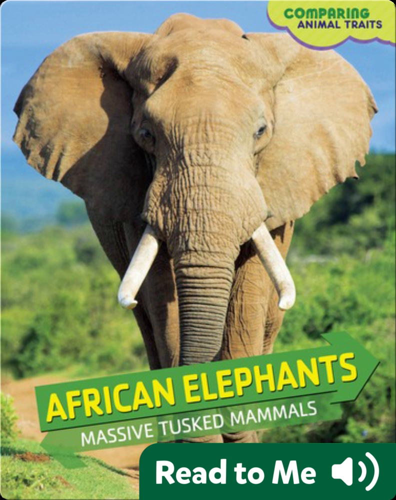 Text book of zoology. Zoology. 5] 2 Vertehrata. domesticated : the African  Elephant {E. africanvs), with fewer, thicker plates; and very large ears.  The extinct forms are numerous. The M a m m o t h (^.