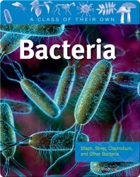 Bacteria: Staph, Strep, Clostridium, and other Bacteria