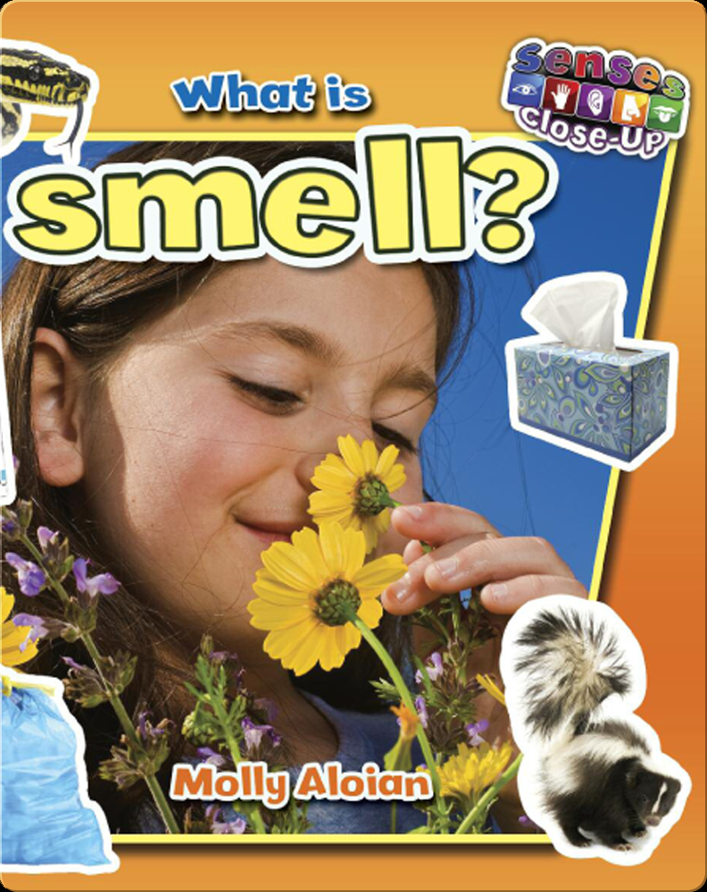 What is Smell? Book by Molly Aloian | Epic