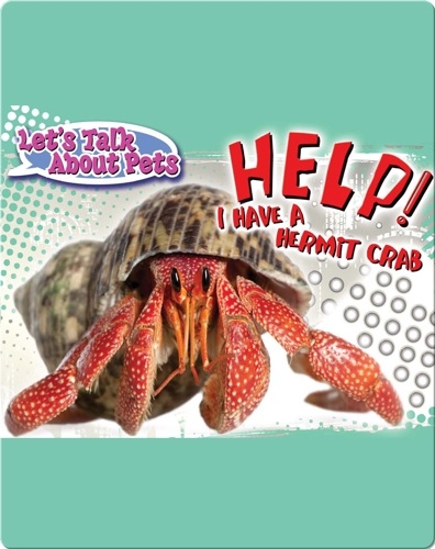 Let's Talk About Pets: Help! I Have A Hermit Crab
