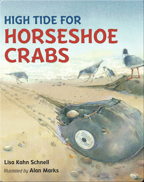 High Tide for Horseshoe Crabs
