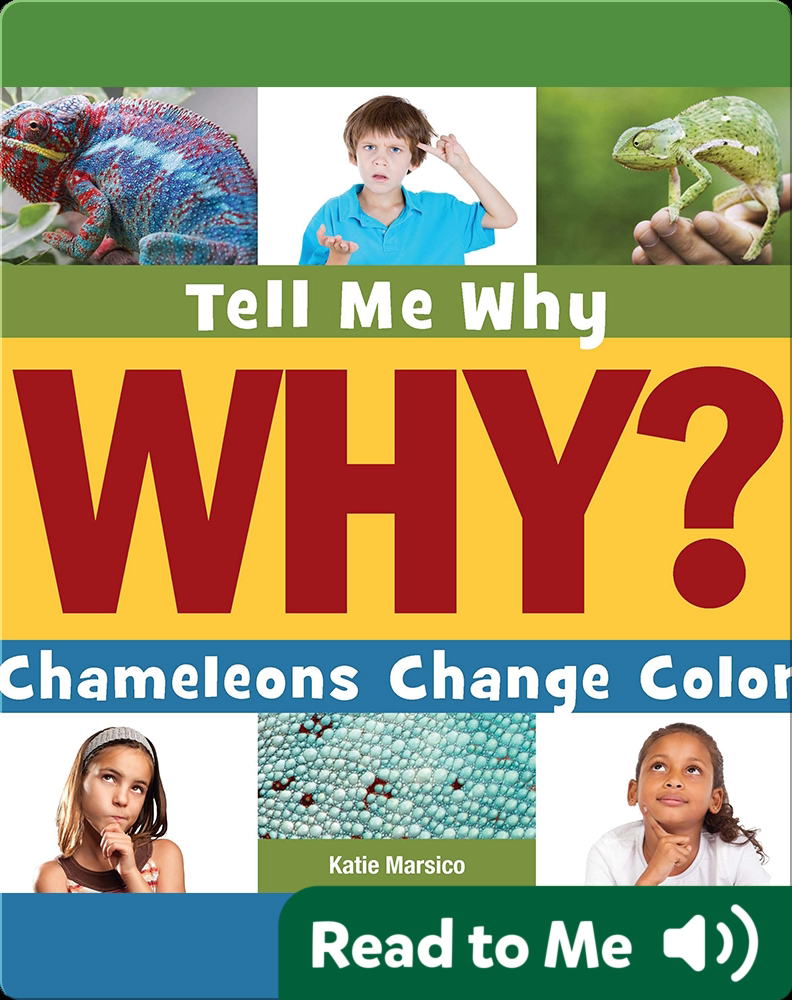 Chameleons Change Color Book by Katie Marsico Epic