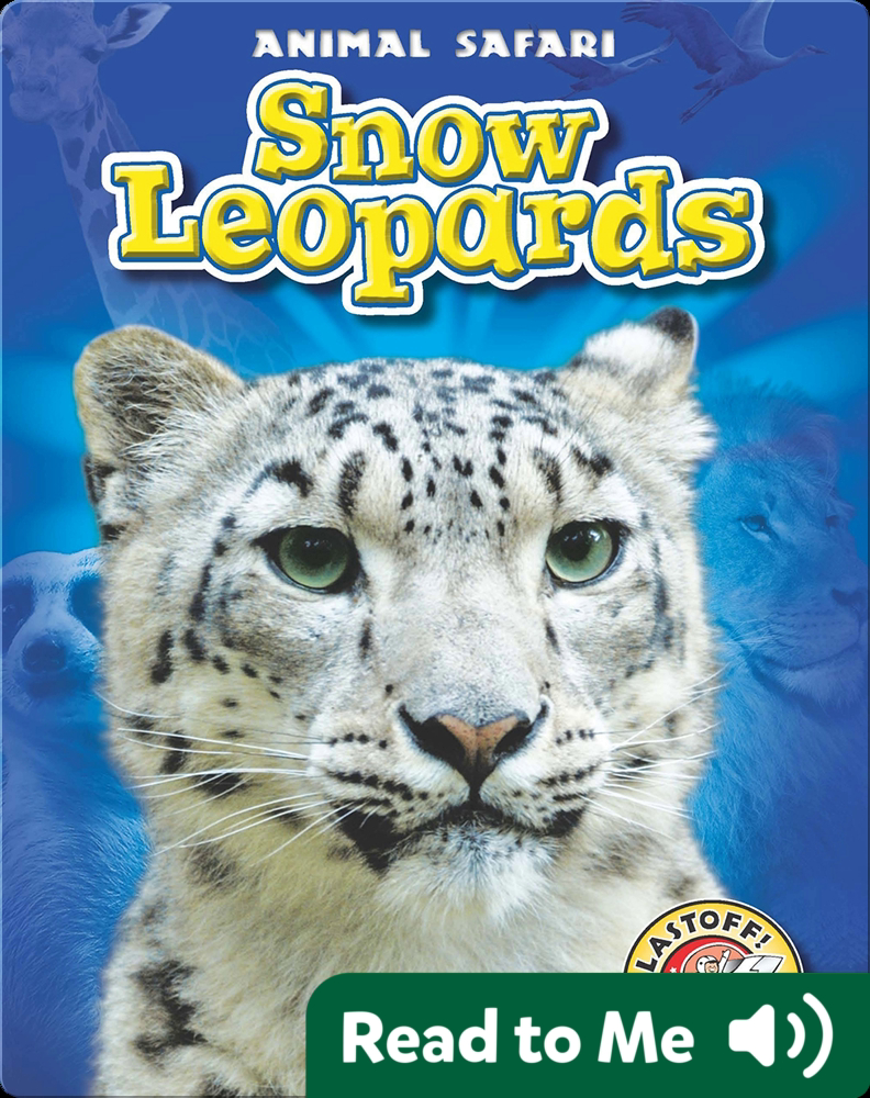 Snow Leopards Children's Book by Megan Discover
