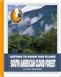 South American Cloud Forest