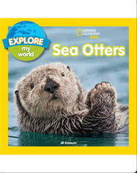 Explore My World: Sea Otters