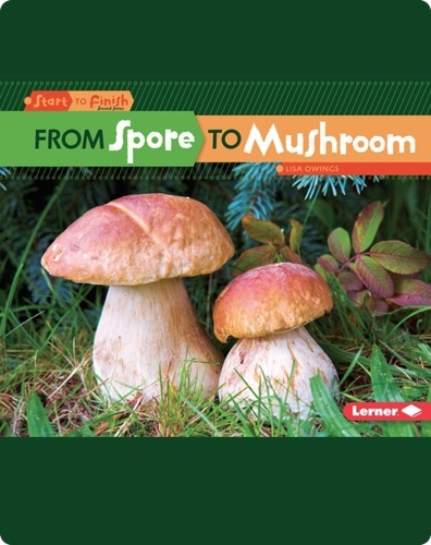 From Spore to Mushroom