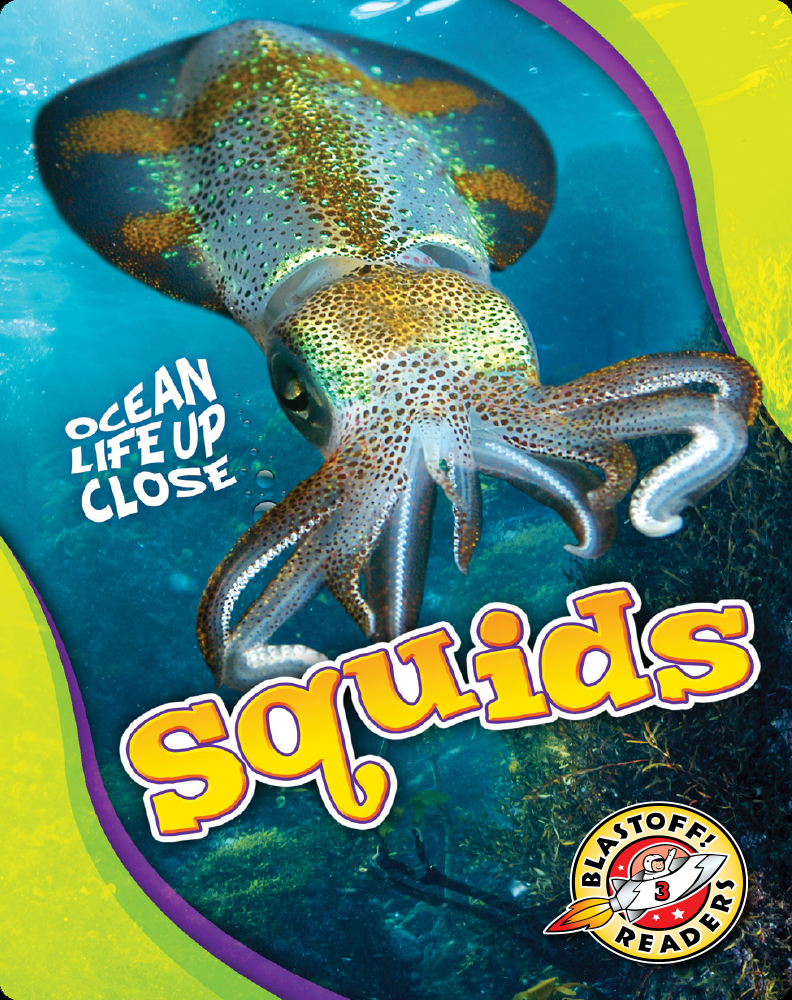 Ocean Life Up Close: Squids Book by Nathan Sommer | Epic