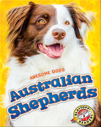Awesome Dogs: Australian Shepherds