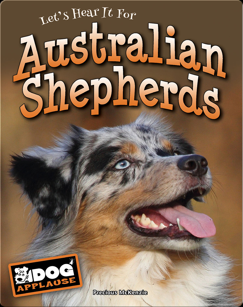 can a australian shepherd and a shih tzu be friends