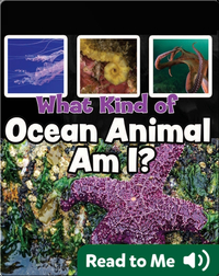 What Kind of Ocean Animal Am I?