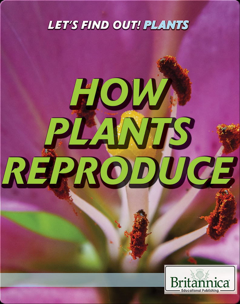 How Plants Reproduce Book by Judy Silverstein Gray Epic
