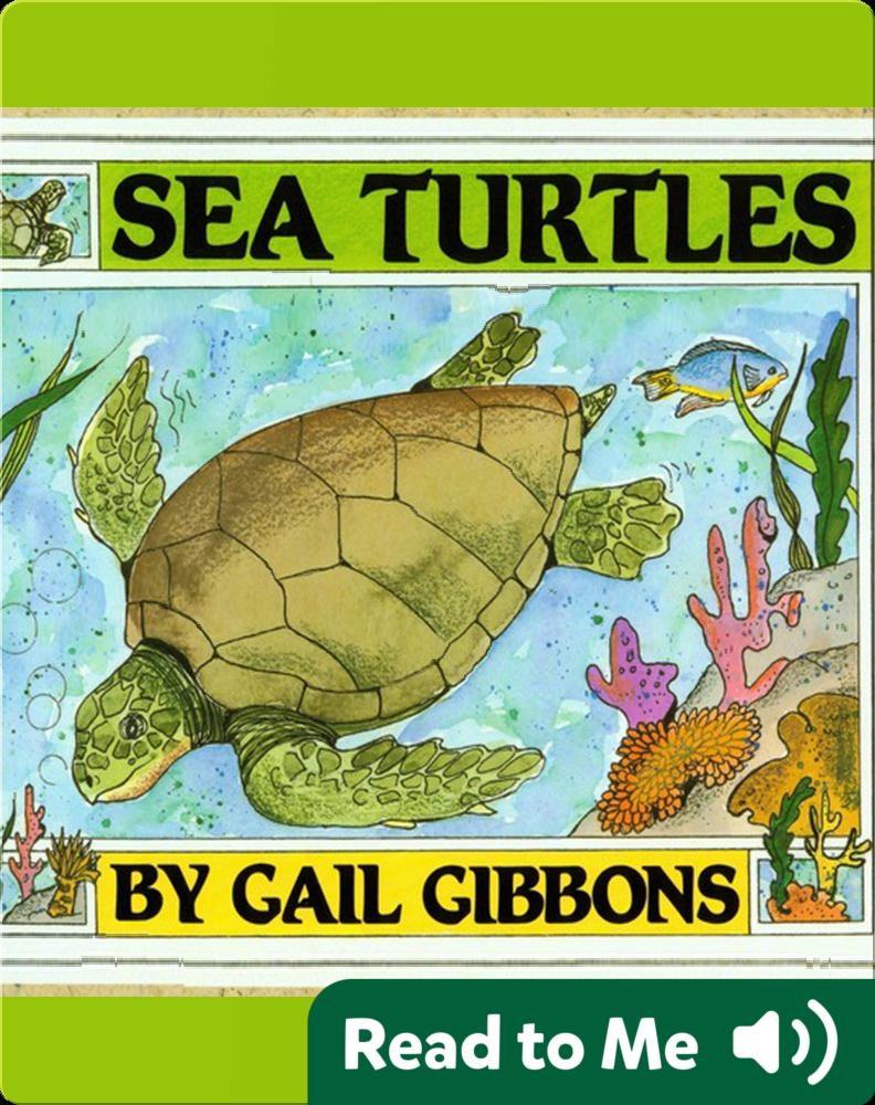 Sea Turtles Book by Gail Gibbons Epic