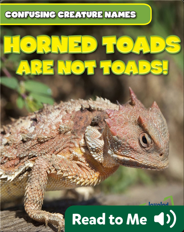 Horned Toads Are Not Toads!